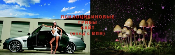 крисы Майский