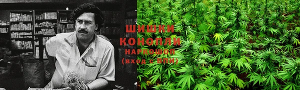 дистиллят марихуана Магас
