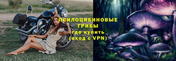 гидра Медногорск