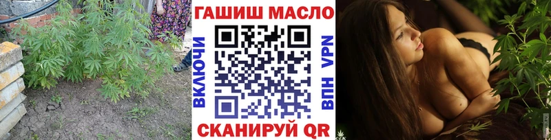 kraken сайт  купить закладку  Миасс  ТГК THC oil 
